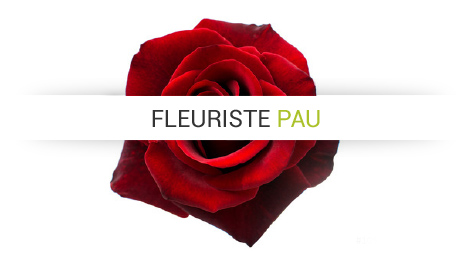 Bouquet de fleurs Pau, Bouquet de fleurs Serres Castet, Bouquet de marié Pau, Bouquet de marié Serres Castet, Composition florale Pau, Composition florale Serres Castet, Couronne pour enterrement Pau, Couronne pour enterrement Serres Castet, Fleuriste Pau, Fleuriste Serres Castet