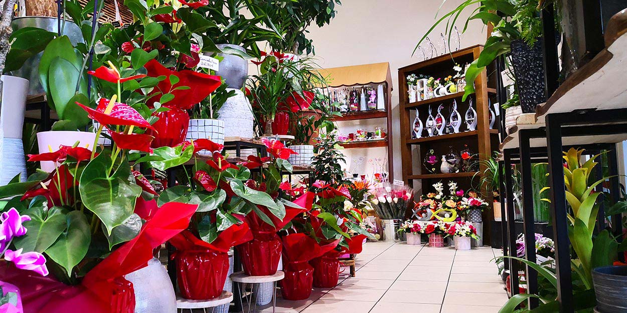 Bouquet de fleurs Pau, Bouquet de fleurs Serres Castet, Bouquet de marié Pau, Bouquet de marié Serres Castet, Composition florale Pau, Composition florale Serres Castet, Couronne pour enterrement Pau, Couronne pour enterrement Serres Castet, Fleuriste Pau, Fleuriste Serres Castet