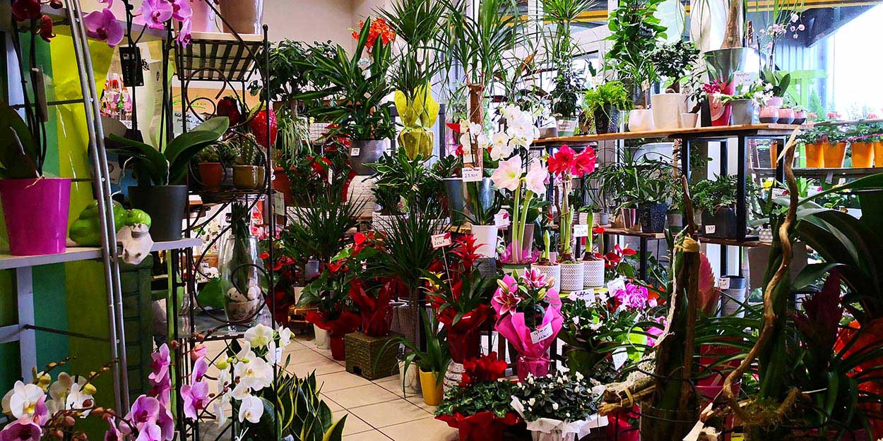 Bouquet de fleurs Pau, Bouquet de fleurs Serres Castet, Bouquet de marié Pau, Bouquet de marié Serres Castet, Composition florale Pau, Composition florale Serres Castet, Couronne pour enterrement Pau, Couronne pour enterrement Serres Castet, Fleuriste Pau, Fleuriste Serres Castet